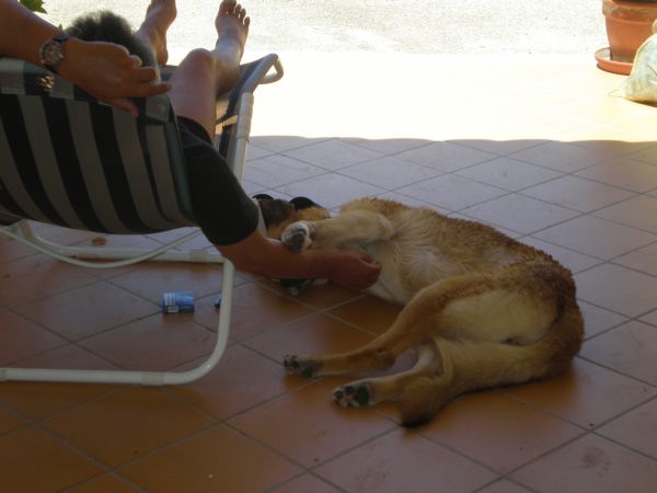 Senda 2010 5.jpg