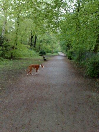 01052010573.jpg