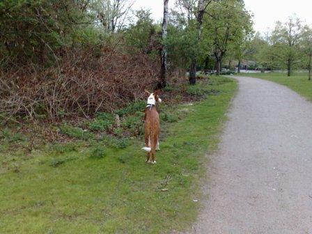 01052010589.jpg