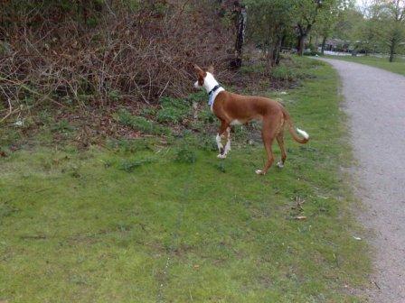 01052010590.jpg