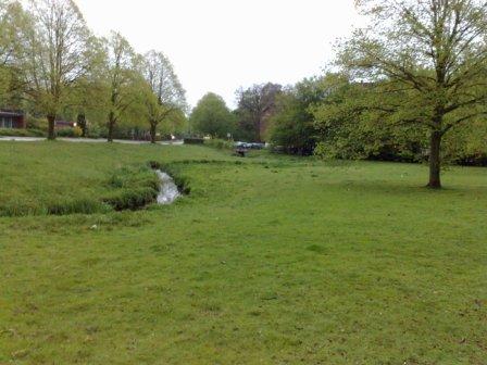 01052010592.jpg