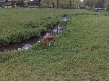 01052010594.jpg