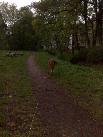01052010599.jpg