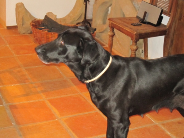 mo 006.jpg