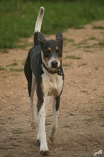 IMG_5361 Kopie.jpg