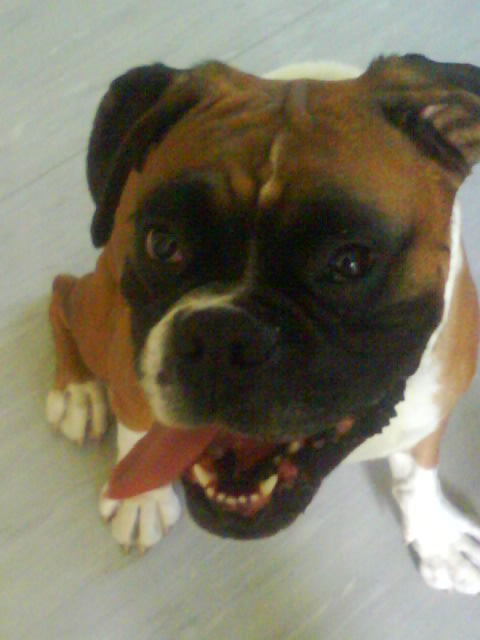 Hannes...JPG