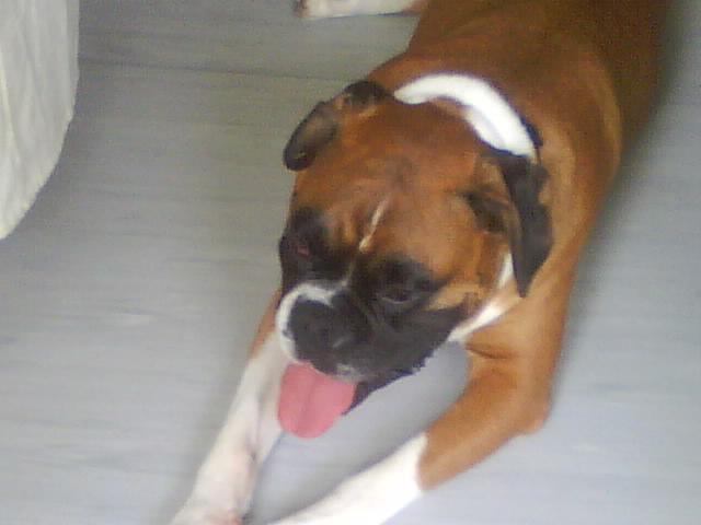 Hannes....JPG