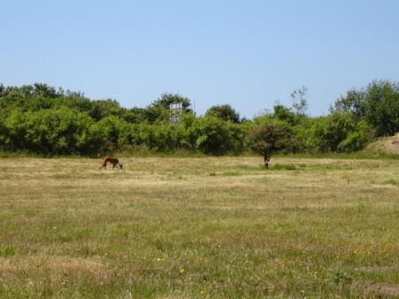 DSC00666.JPG
