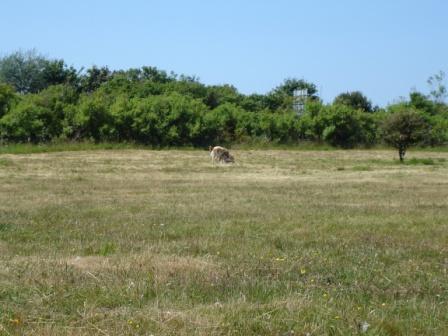 DSC00670.JPG