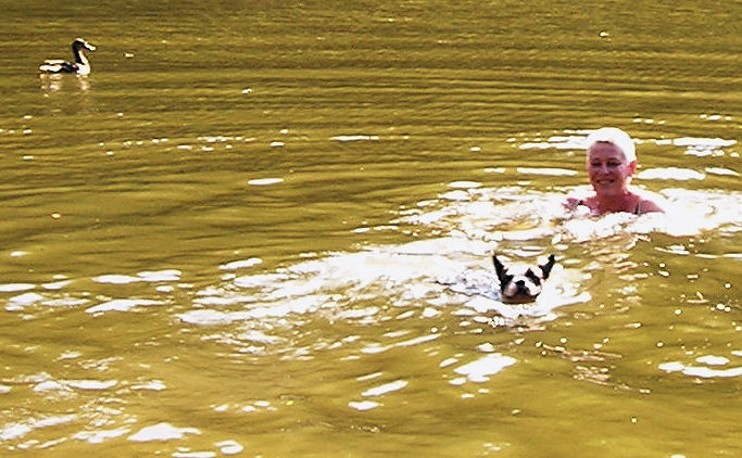 Schwimmente.jpg