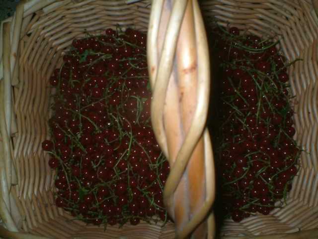 K640_johannesbeeren.JPG