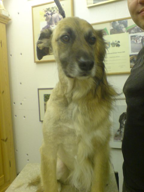 DSC01283.JPG