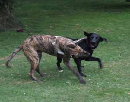 juli2010 11.jpg