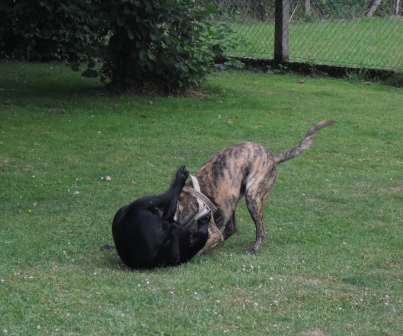 juli2010 21.jpg