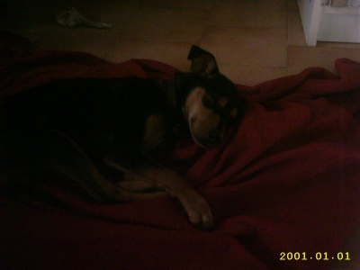IMG_0002_400_300.jpg