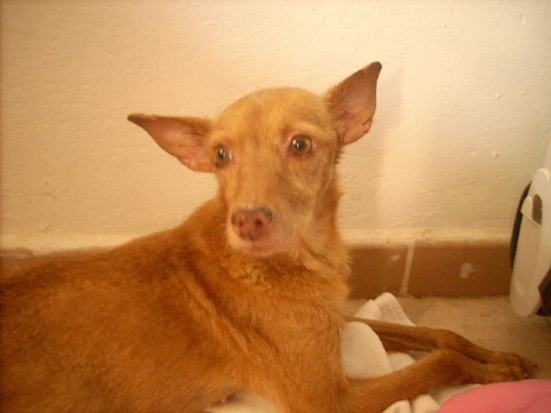 Ronja05_800.jpg
