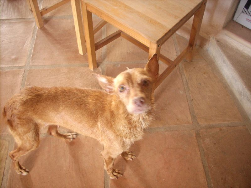 Ronja2_06_800.jpg