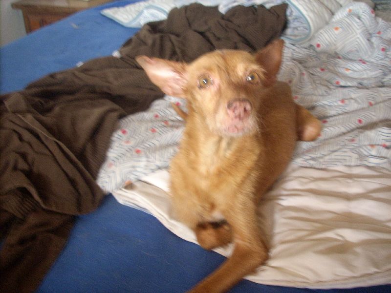 Ronja02_800.jpg