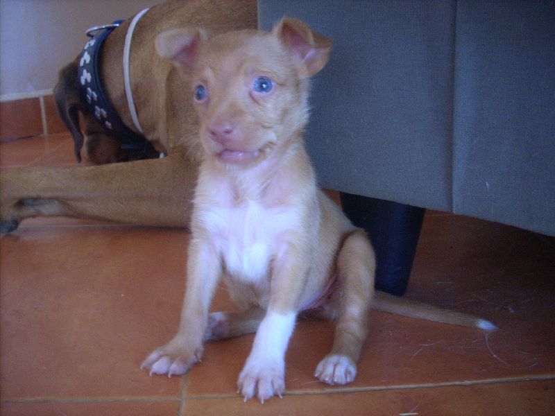 Ronja2_03_800.jpg
