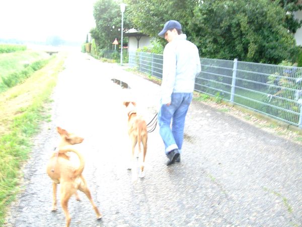 DSCF0214.JPG