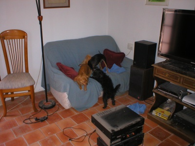 P1010004_400_300.jpg