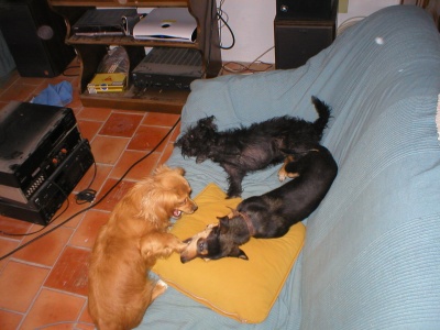 P1010005_400_300.jpg
