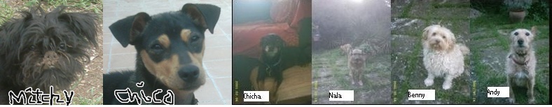 6 Freunde.jpg