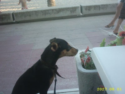 IMG_0005_400_300.jpg