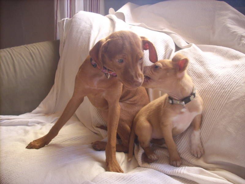 Mable und Söckchen - LR (Mable).jpg