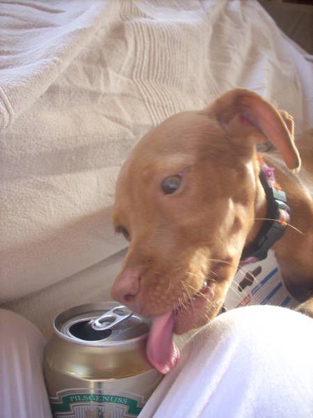 Mable mit Bierdose - LR.jpg