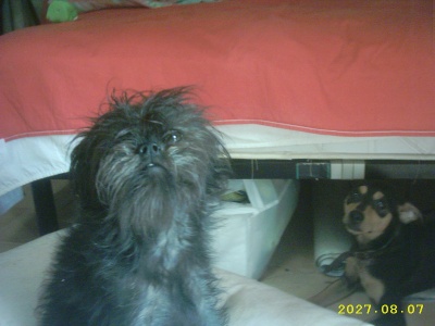 IMG_0002_400_300.jpg