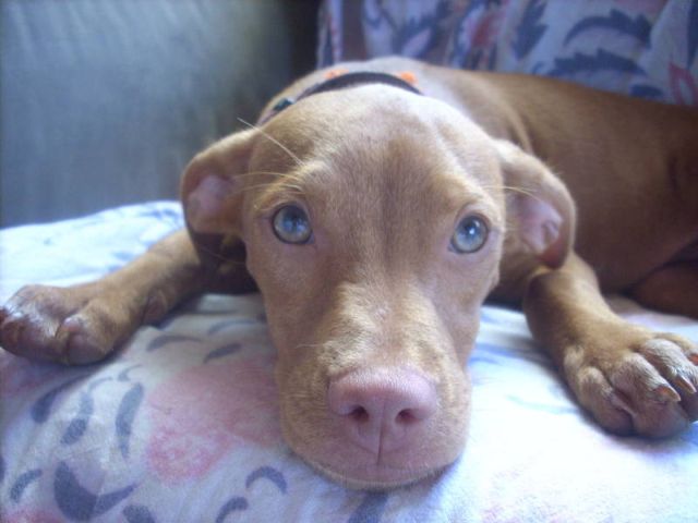 Portrait Mable - 640x480.jpg