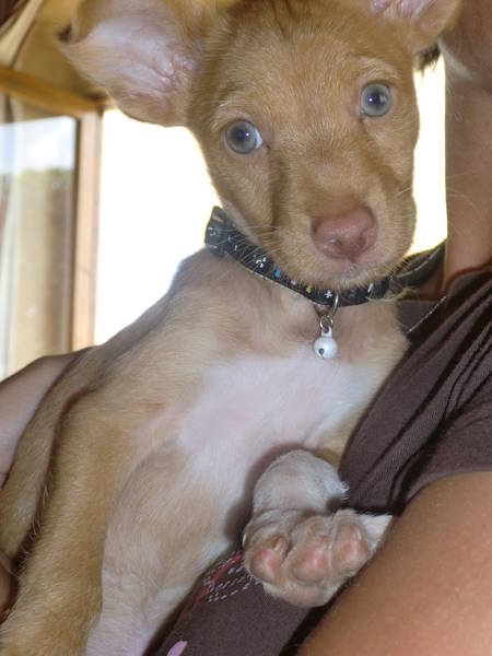 Söckchen - Portrait.jpg