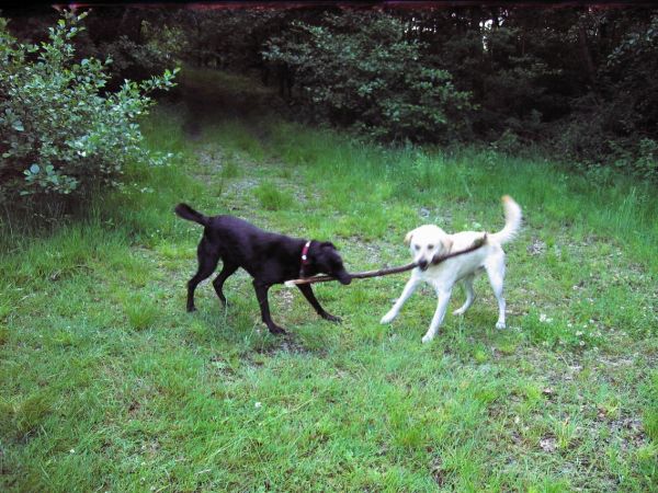 15Aug002.jpg