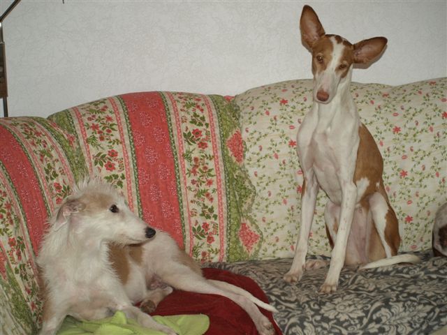 PB194087.JPG