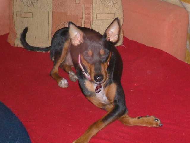 K640_Lilly- Sofa.JPG