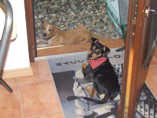 Chico und Paloma 3.jpg