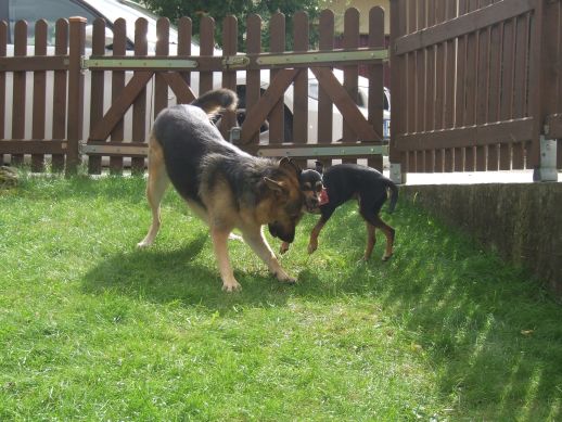 Sina und Chico.jpg