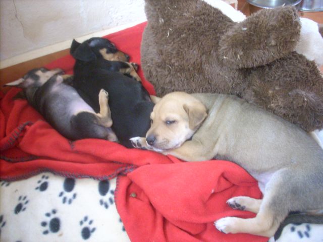 zu dritt im Bett.jpg