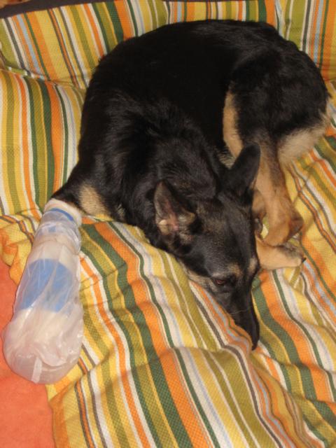 K640_IMG_4571.JPG