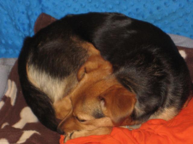 K640_IMG_4572.JPG