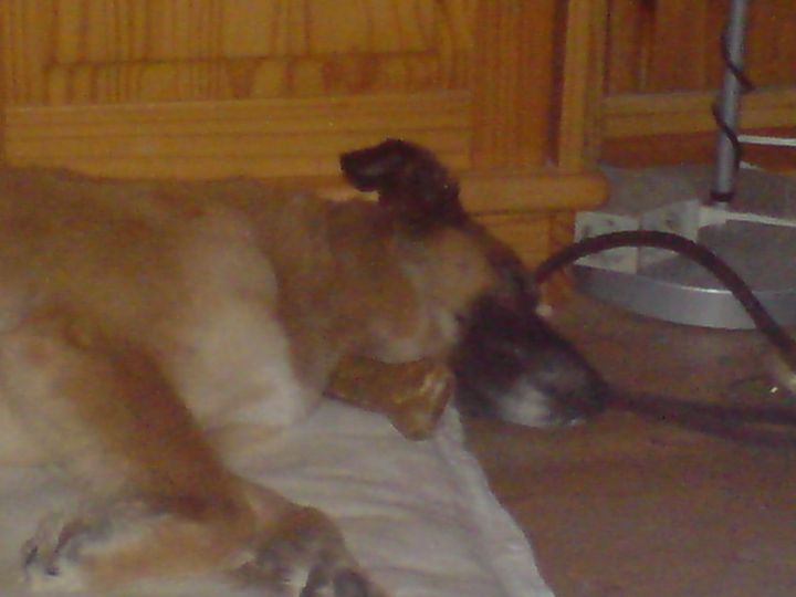 DSC01313.JPG