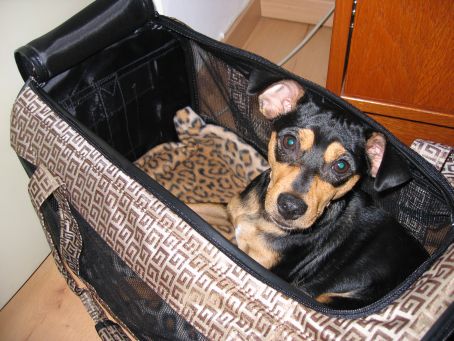 Flugtasche_1.jpg