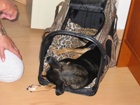 Flugtasche kl.jpg