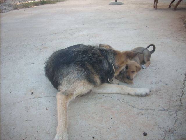 Nela + Frida.jpg