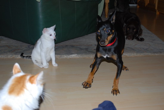 DSC_0361.jpg