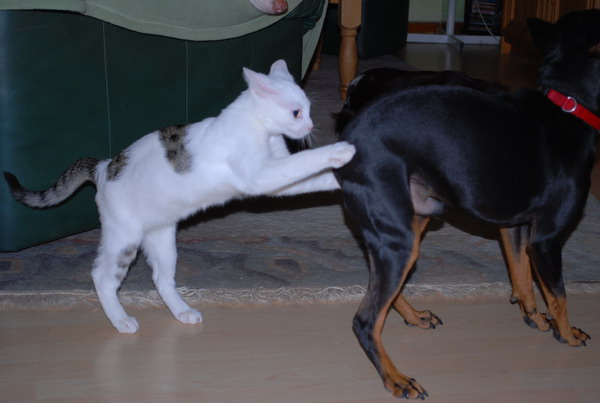 DSC_0369.jpg