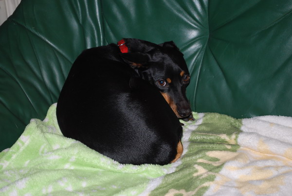 DSC_0430.jpg