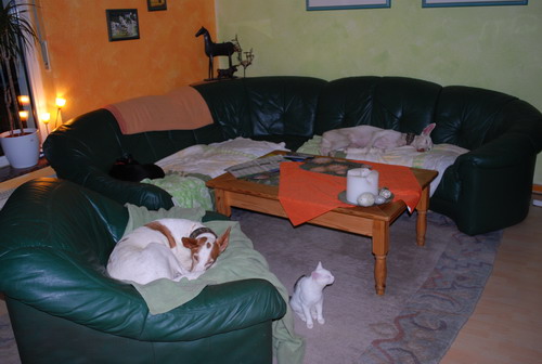 DSC_0431.jpg