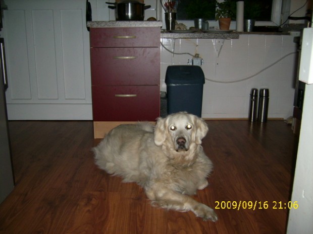 9w0hepwt6mkqv44p2qnqp7a9inu.jpg